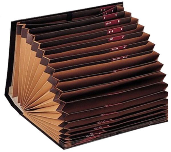 Carpeta acordeon
